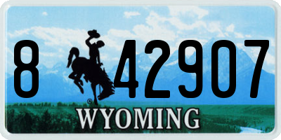 WY license plate 842907