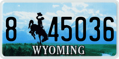 WY license plate 845036