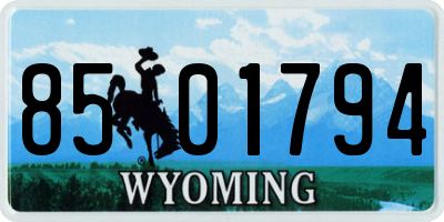WY license plate 8501794