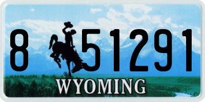 WY license plate 851291