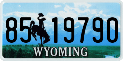 WY license plate 8519790