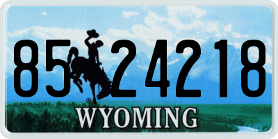 WY license plate 8524218