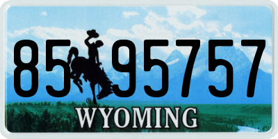 WY license plate 8595757