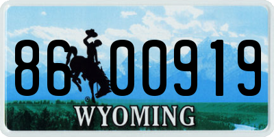 WY license plate 8600919