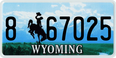 WY license plate 867025