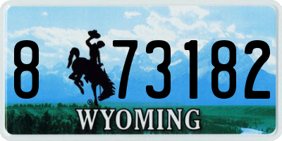 WY license plate 873182