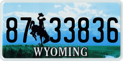 WY license plate 8733836