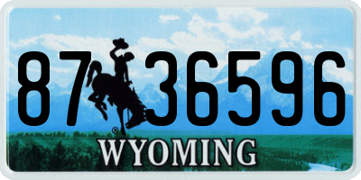 WY license plate 8736596