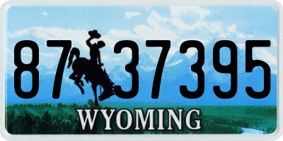 WY license plate 8737395