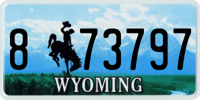 WY license plate 873797