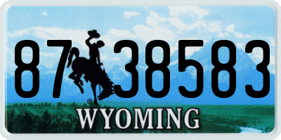 WY license plate 8738583