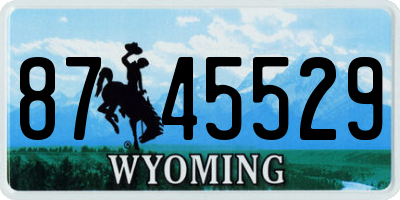 WY license plate 8745529
