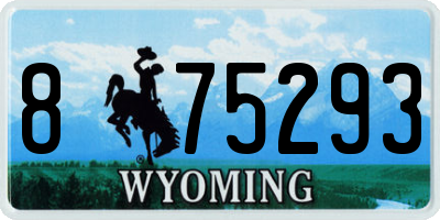 WY license plate 875293