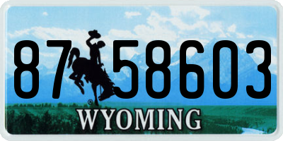 WY license plate 8758603