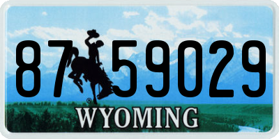 WY license plate 8759029