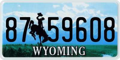 WY license plate 8759608