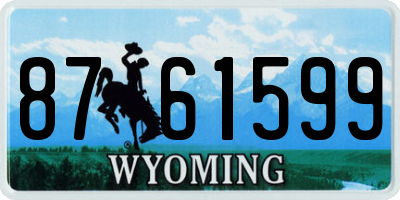 WY license plate 8761599