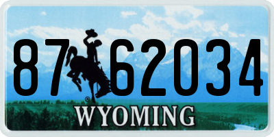 WY license plate 8762034