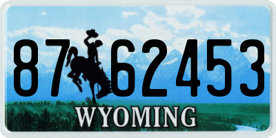WY license plate 8762453