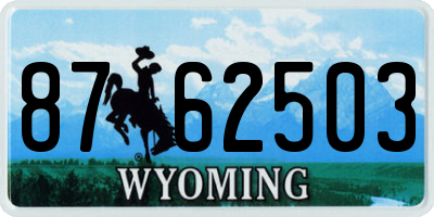 WY license plate 8762503