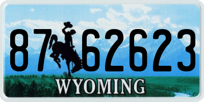 WY license plate 8762623