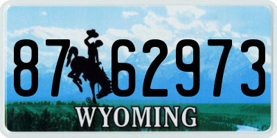 WY license plate 8762973