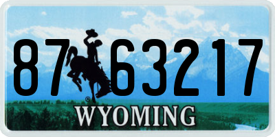 WY license plate 8763217