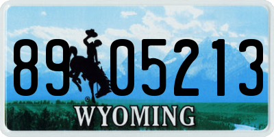 WY license plate 8905213