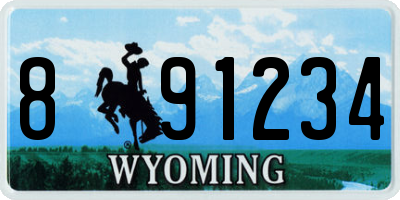 WY license plate 891234