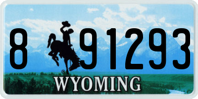 WY license plate 891293