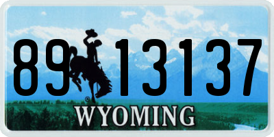 WY license plate 8913137