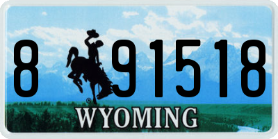WY license plate 891518