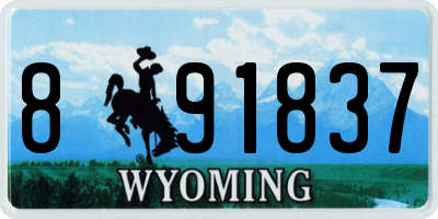 WY license plate 891837