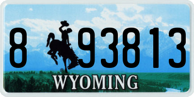 WY license plate 893813