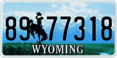 WY license plate 8977318