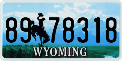 WY license plate 8978318