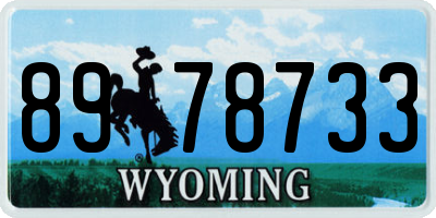 WY license plate 8978733