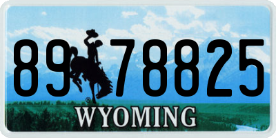 WY license plate 8978825