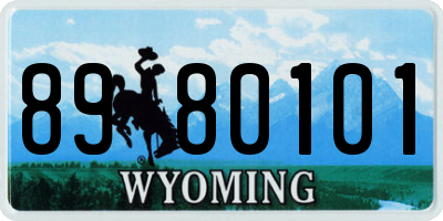 WY license plate 8980101