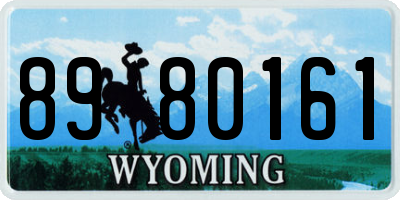 WY license plate 8980161