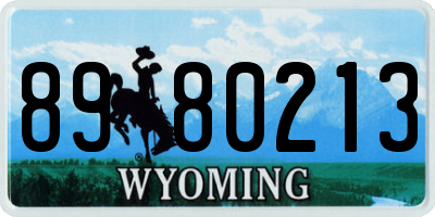 WY license plate 8980213