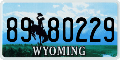 WY license plate 8980229