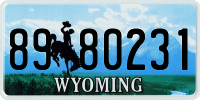 WY license plate 8980231