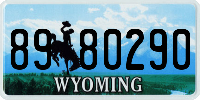 WY license plate 8980290