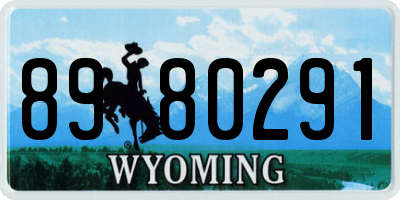 WY license plate 8980291