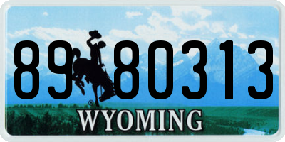 WY license plate 8980313