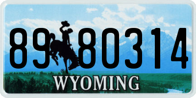 WY license plate 8980314