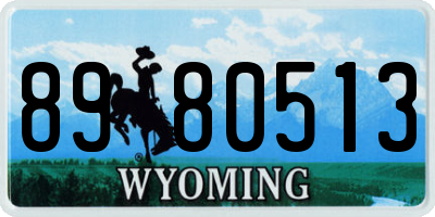 WY license plate 8980513
