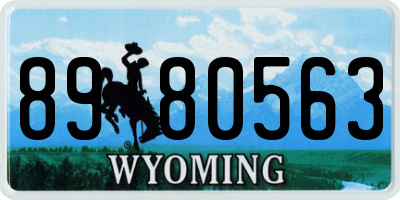 WY license plate 8980563