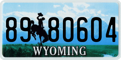 WY license plate 8980604